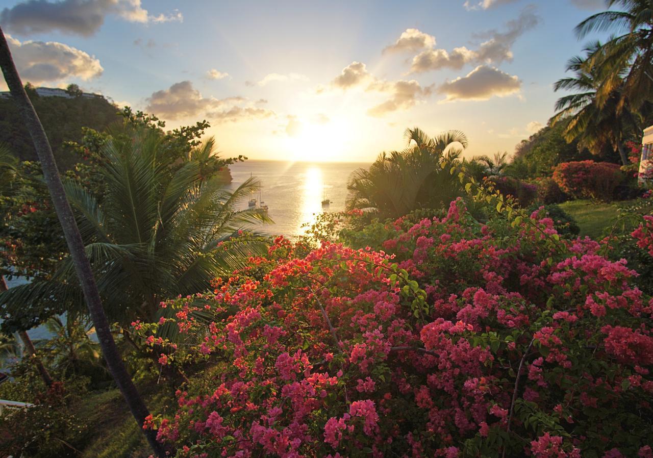 Marigot Beach Club & Dive Resort Экстерьер фото